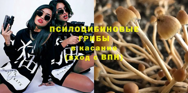 эйфоретик Алексеевка