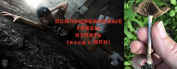 сатива Алексин