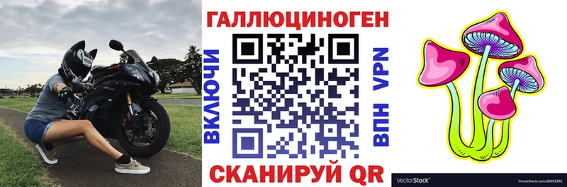 Галлюциногенные грибы Psilocybe  где продают наркотики  Курск 